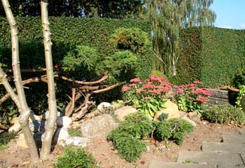 Have bede med lav v�kst