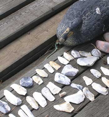 Annette Pr�stegaard, Boligindretning