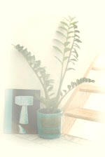 Plante. Foto: Annete Pr�stegaard